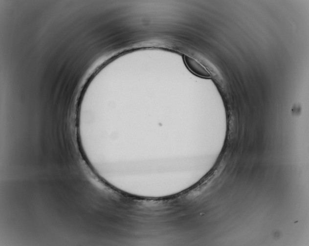 X0000101390800200808041016