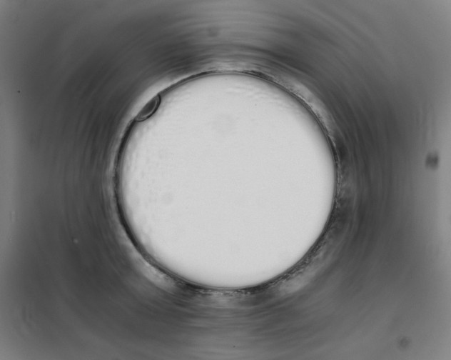 X0000101390803200808041016