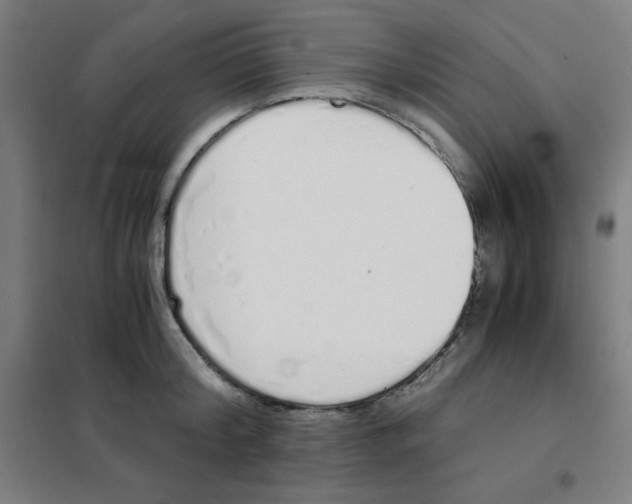 X0000101390804200808041016