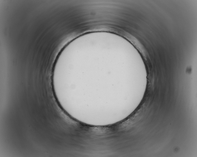 X0000101390805200808041016