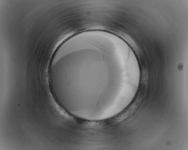 X0000101390806200808041016