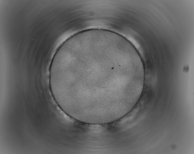 X0000101390807200808041016