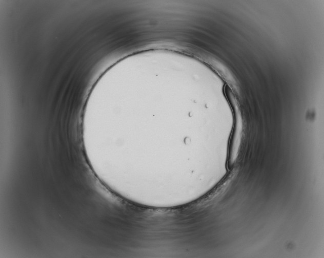 X0000101390808200808041016