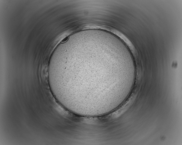 X0000101390809200808041016