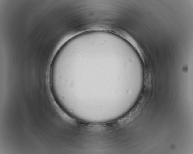X0000101390811200808041015