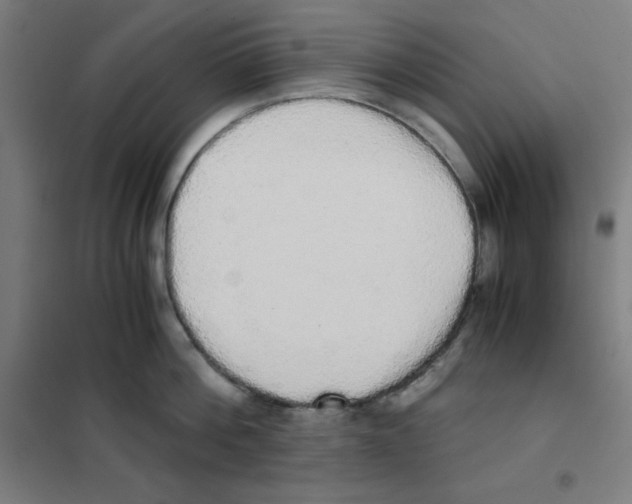 X0000101390812200808041015