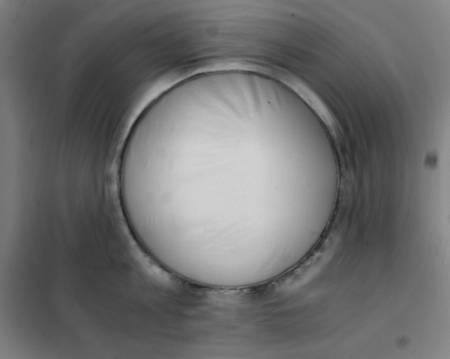 X0000101390813200808041015