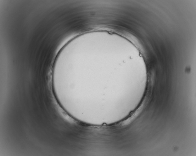 X0000101390814200808041015