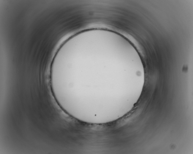 X0000101390815200808041015