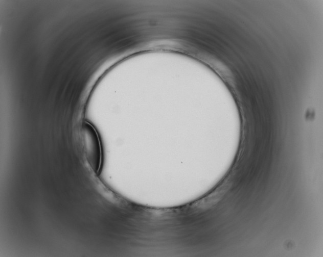 X0000101390816200808041015