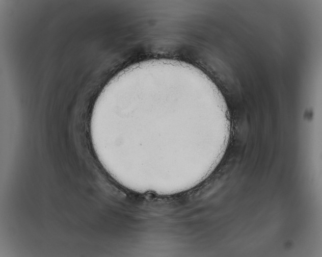 X0000101390817200808041015