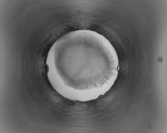 X0000101390818200808041015