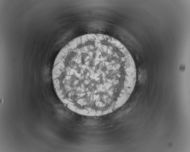 X0000101390819200808041015