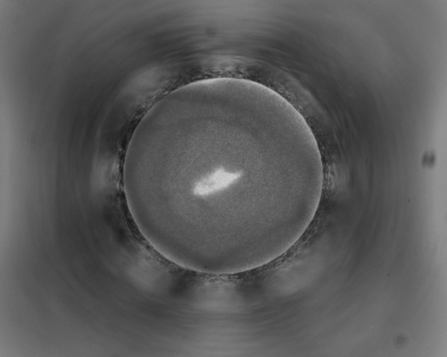 X0000101390820200808041015