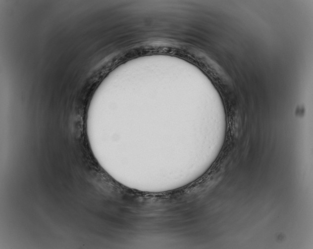 X0000101390821200808041015