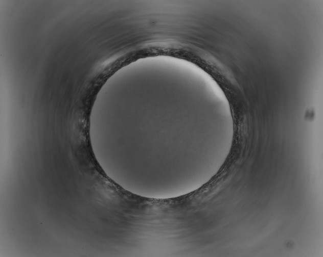 X0000101390822200808041015