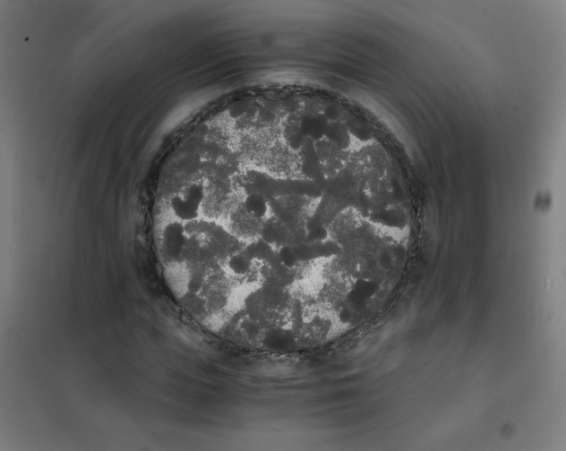 X0000101390823200808041015