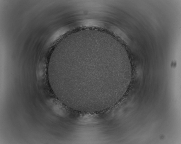 X0000101390824200808041015