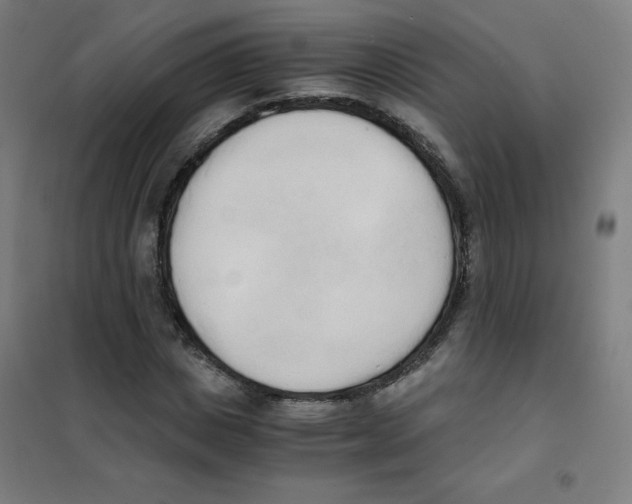X0000101390825200808041015