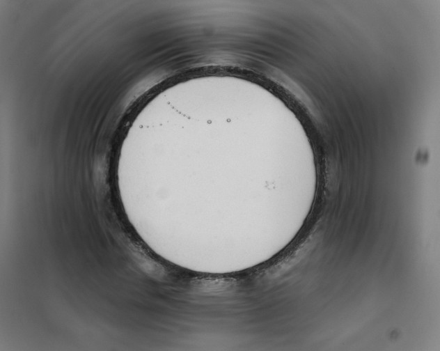 X0000101390826200808041015