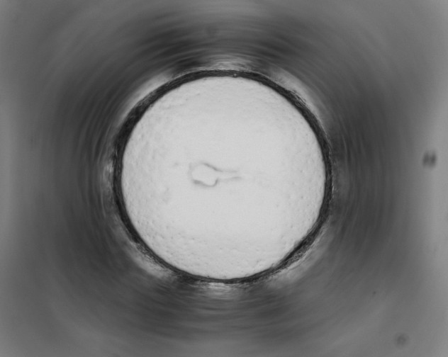 X0000101390827200808041015