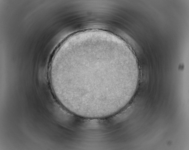 X0000101390828200808041015