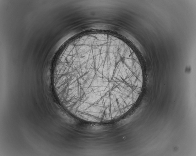 X0000101390829200808041015