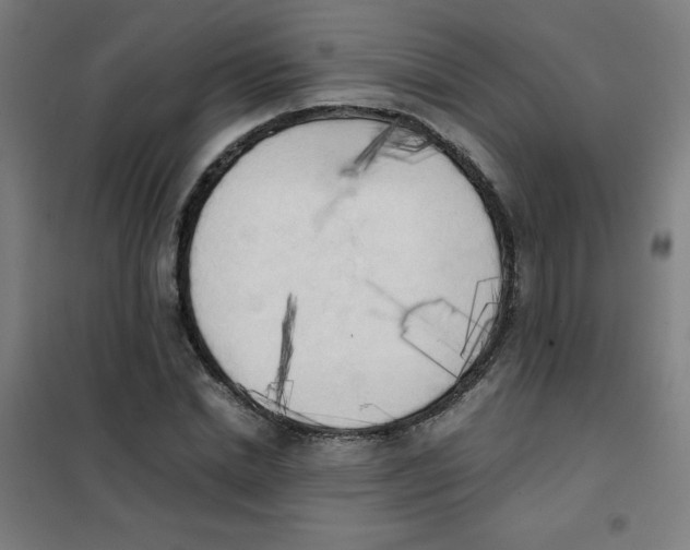 X0000101390830200808041015