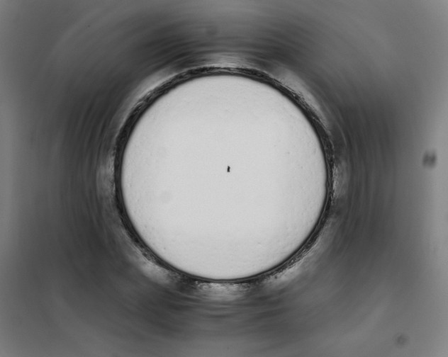 X0000101390831200808041015