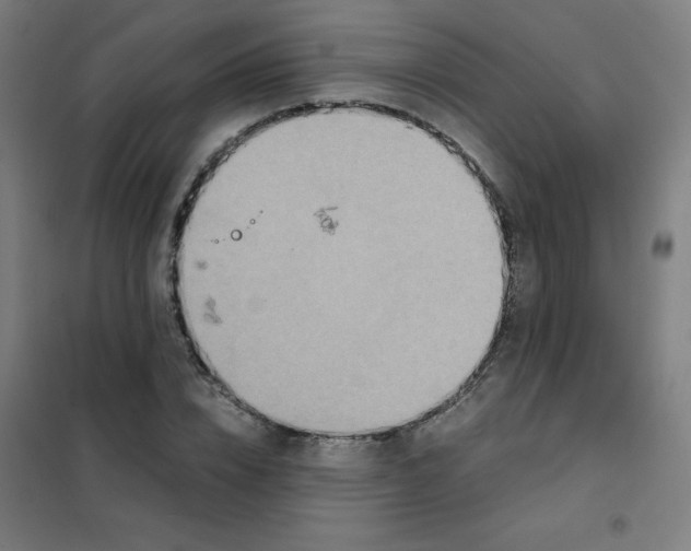 X0000101390832200808041015