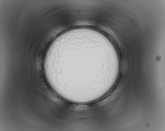 X0000101390833200808041015