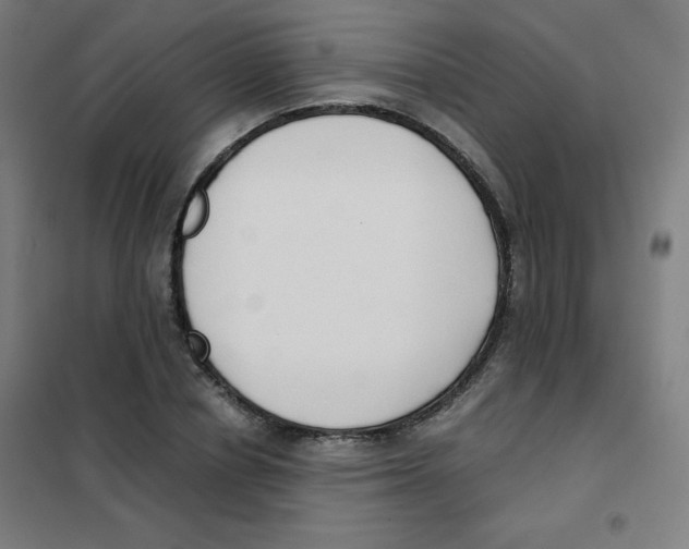 X0000101390834200808041015