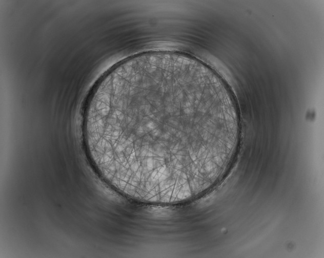 X0000101390835200808041015