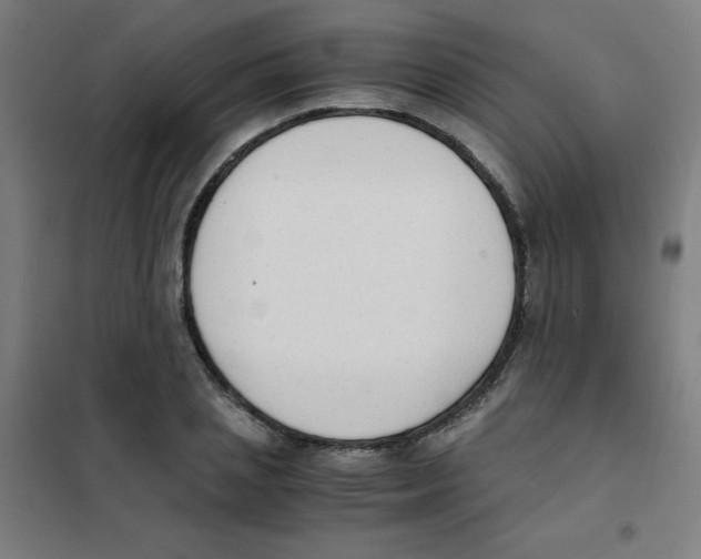 X0000101390837200808041015