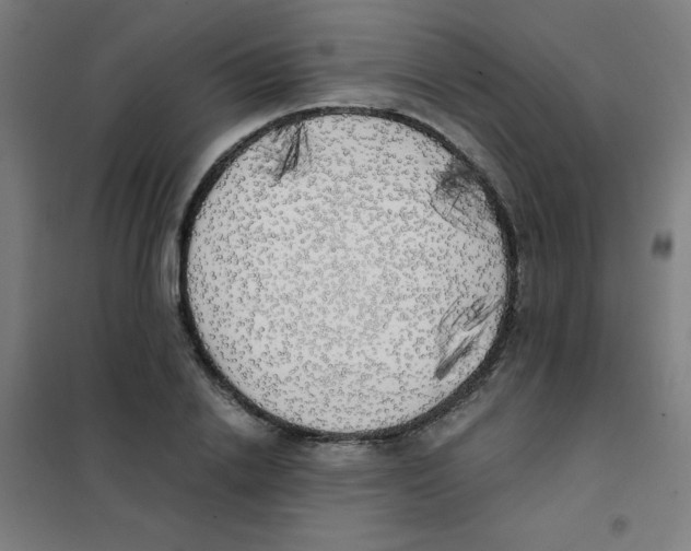 X0000101390838200808041015