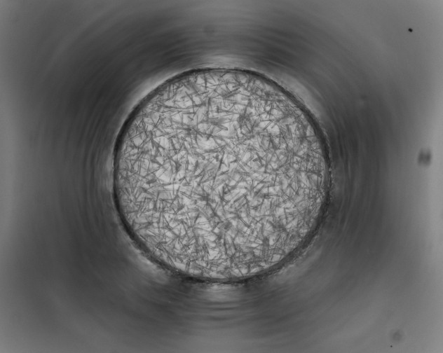 X0000101390839200808041015