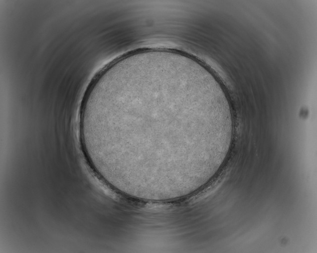 X0000101390840200808041015
