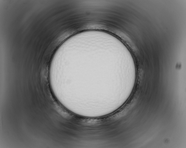 X0000101390841200808041015