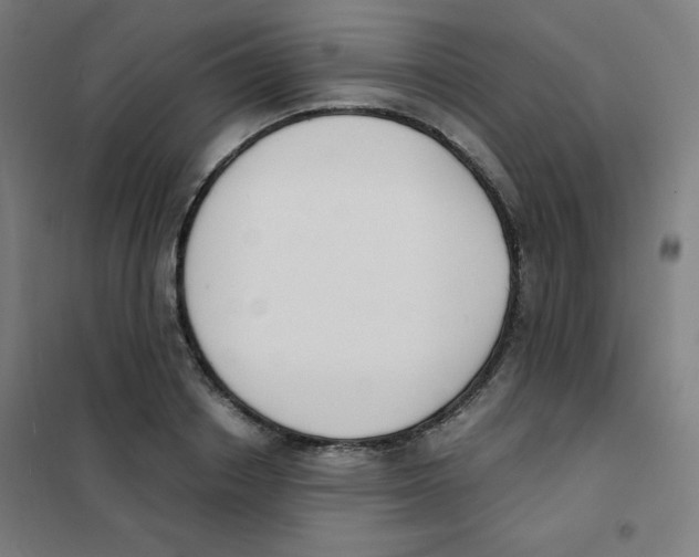 X0000101390842200808041015