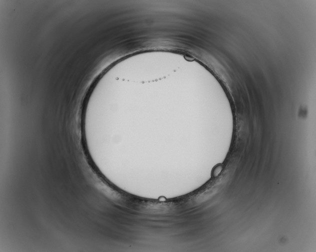 X0000101390843200808041015