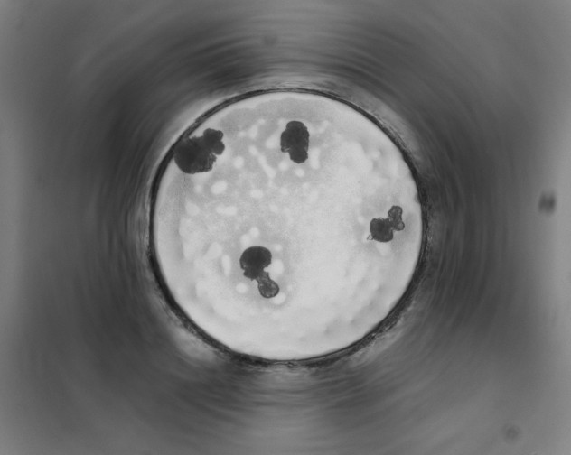 X0000101390844200808041015