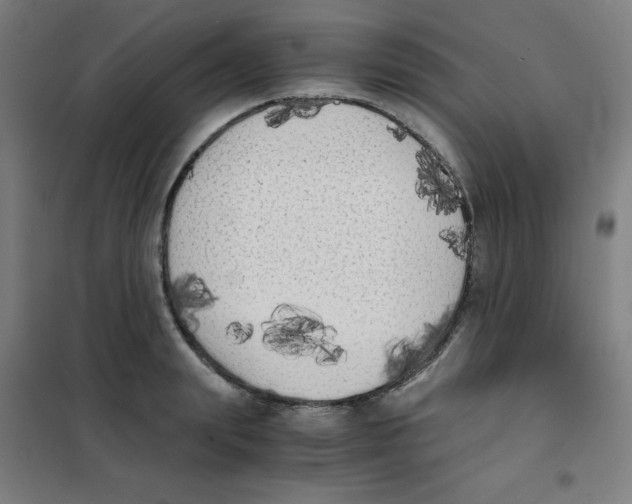 X0000101390847200808041015
