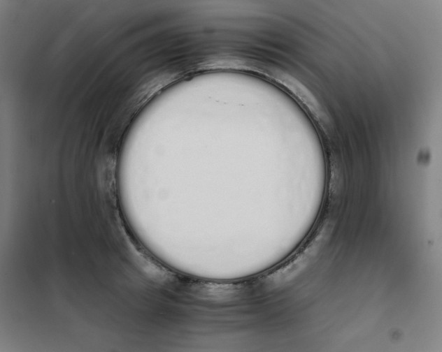 X0000101390849200808041015