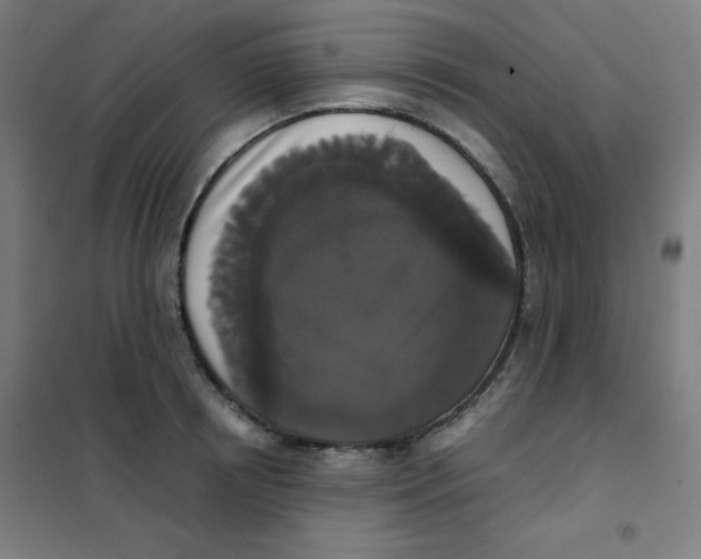 X0000101390850200808041015