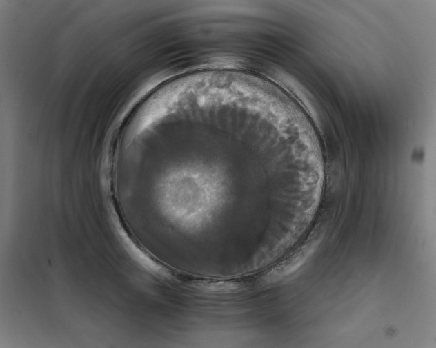 X0000101390851200808041015