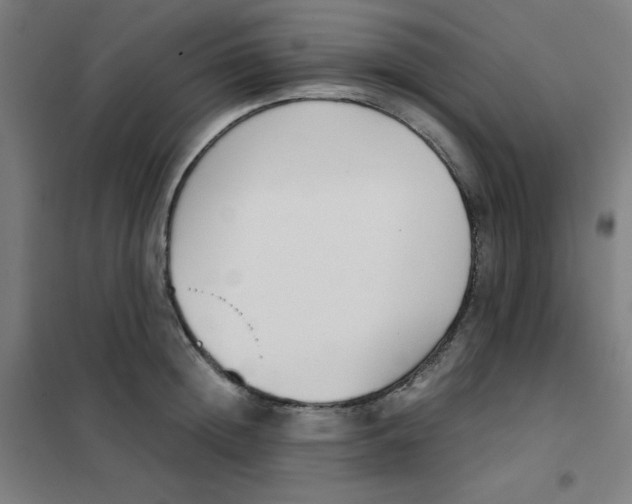 X0000101390852200808041015