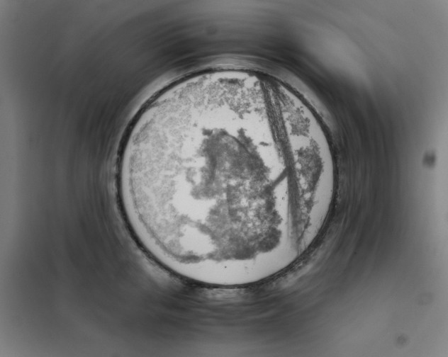 X0000101390853200808041015