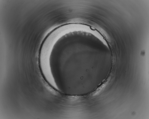 X0000101390854200808041015