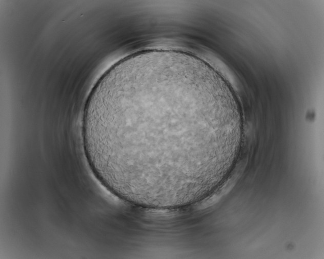 X0000101390855200808041015