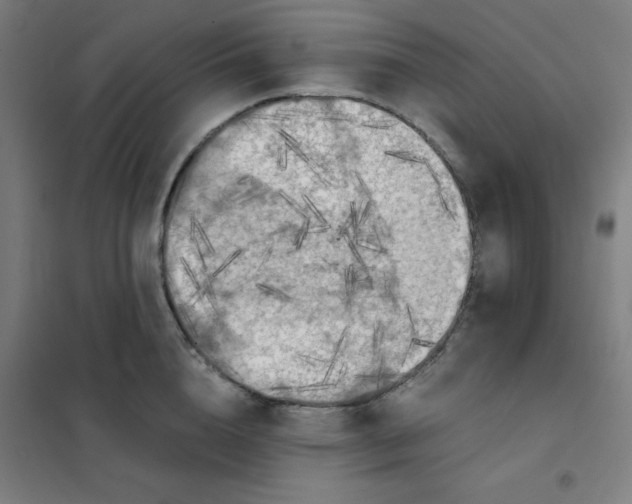 X0000101390856200808041015